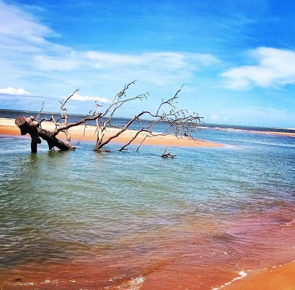 Pousada Barra Mares ムクリ エクステリア 写真